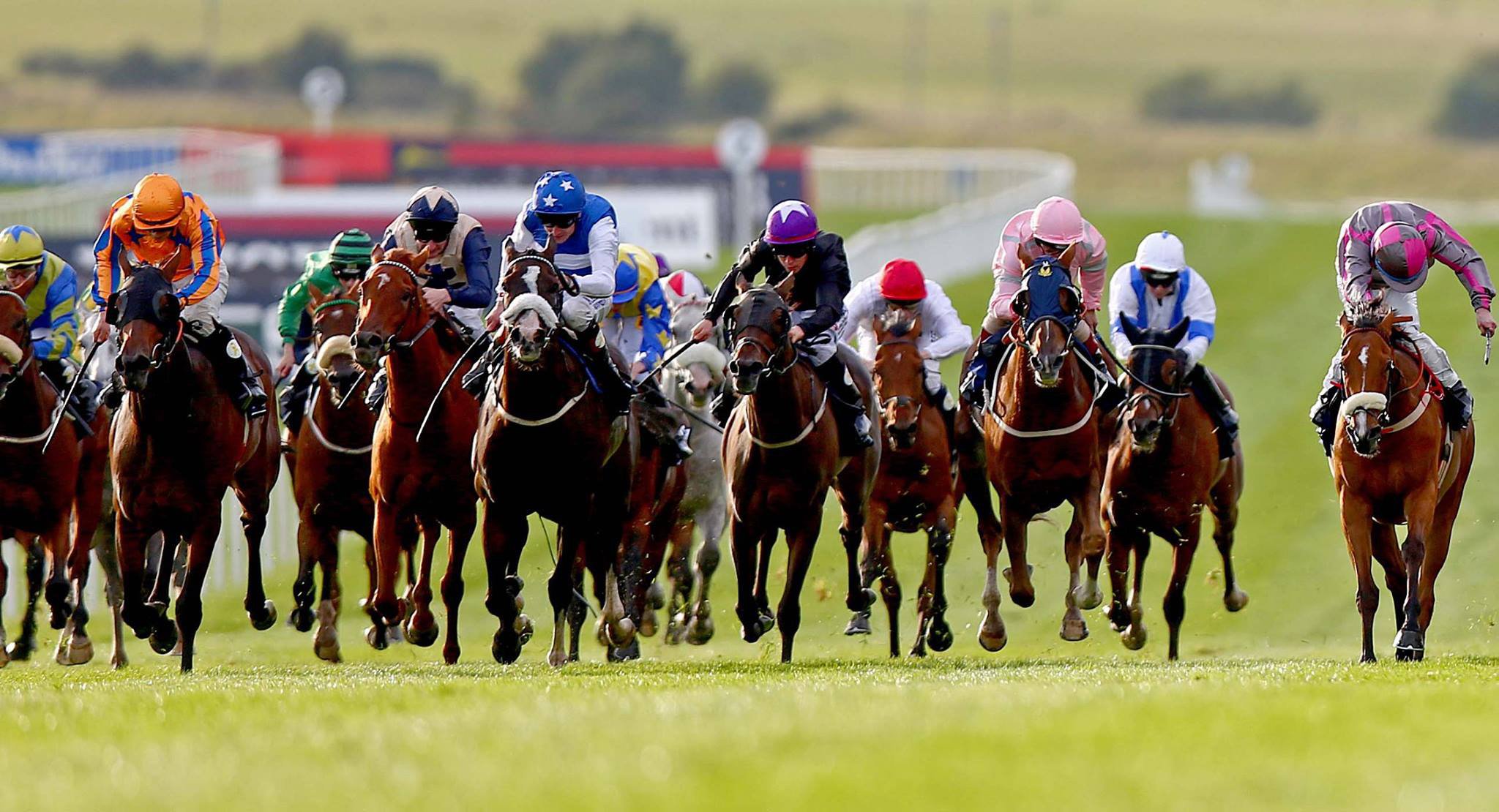 Image capturing horse race